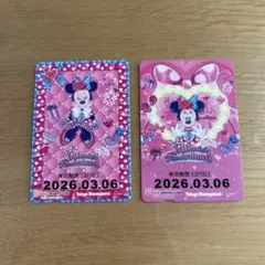 ディズニーリゾートライン リゾラ　フリーきっぷ　2枚セット　　ミニー