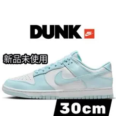 NIKE DUNK LOW RETRO 30cm