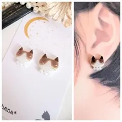 お顔ふっくら 猫 ラグドール ピアス イヤリング