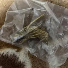 一番くじ大怪獣列F賞モンスターヘッドマグネットキングギドラ他