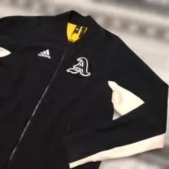 Item thumbnail for item 44e349d7-1dd4-4707-9737-88f355dbeec2