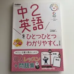 れもね様 リクエスト 2点 まとめ商品