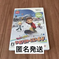 ファミリースキー ワールドスキー＆スノーボード（説明書なし）