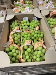 メルカリ限定　シャインマスカット　5キロ　6〜11房 秀　高級品質 2025年最新】至福のシャインマスカットの人気アイテム - メルカリ