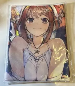 ライザのアトリエ 特典 布ポスター セット - メルカリ