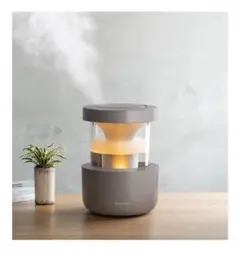 Item thumbnail for item 8d55e8d8-b21f-4229-ae6d-356df596e868