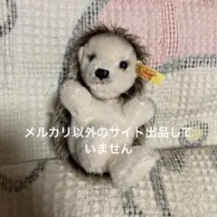シュタイフ Steiff(シュタイフ) カドリーフレンズ アザラシのアイラ