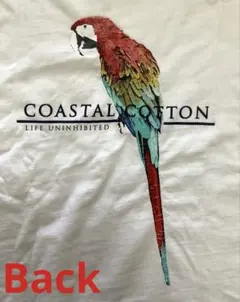 Item thumbnail for item 666f6640-8ca9-4817-aa59-ca5197e1c911