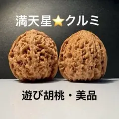 2026年最新】文玩クルミの人気アイテム - メルカリ