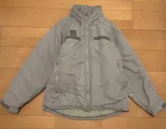 Item thumbnail for item 226bfb56-fa04-42f5-9877-a022f439e841