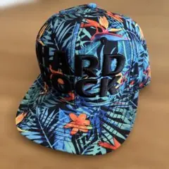 Item thumbnail for item 939ec5a2-efdd-4a87-a851-17f155316fda