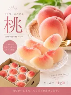 山梨県産 夢桃香 硬い桃 青秀品　5kg箱 山梨県産 夢桃香 硬い桃 青秀品 5kg箱 - メルカリ
