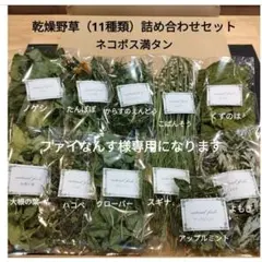 兵庫県産 自然栽培 農家が育てたオーツ麦穂付き インコのおやつ 100g