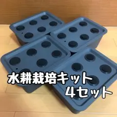 タッパーウェア角形4個組すのこ3枚付 - メルカリ