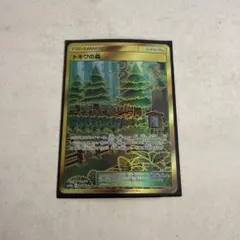 トキワの森 UR SM10b スカイレジェンド 068/054のサムネイル