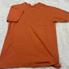 Item thumbnail for item 80346518-1d6e-45f5-a48b-8a0235f0065f