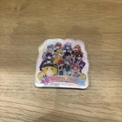 カラフルピーチマグネット ラメ入り　全員集合