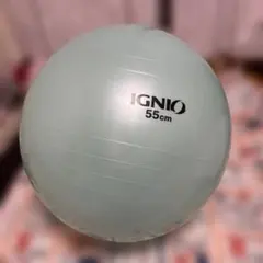 バランスボール エクササイズグッズ