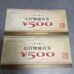 ヤマダ電機.　お買物株主優待券 ¥500×２枚
