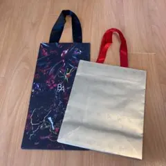 超美品　ポーラ　ショップ袋　紙袋　ショッパー　2枚セット