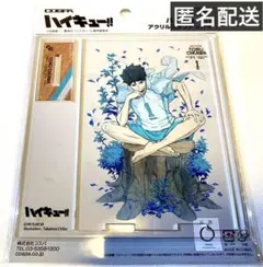 ハイキュー　TO THE TOP 描き下ろし　アクリルスタンド　コスパ　及川　徹
