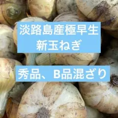 2026年最新】早生玉ねぎ＃七宝の人気アイテム - メルカリ