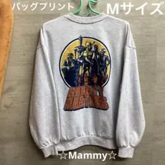 スターウォーズ　Disney Mサイズ　star wars ライトグレー
