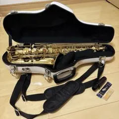 Vibrato Sax アルトサックス レインボーパッド - メルカリ