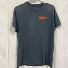 ギルダン Tシャツ