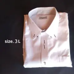 ホワイト ストライプ ドレスシャツ 3L 大きいサイズ　ボタンダウン