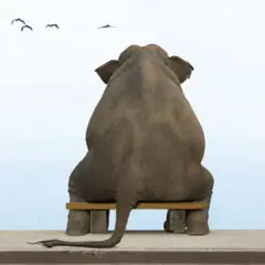 ホウセキズキ様 リクエスト 2点 まとめ商品