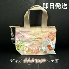 香港ディズニー　ダッフィ　ミニエコバッグチャーム
