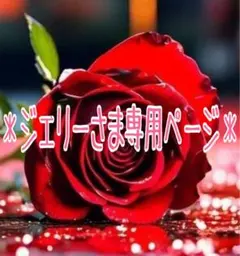 *ジェリーさまさま専用ページ*