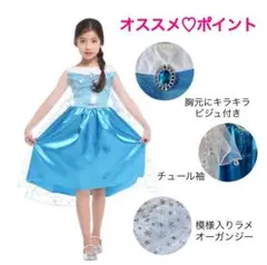 コスプレ アナ風プリンセスドレス 110cm クリスマスパーティー 衣装 ブルー