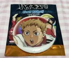ハイキュー!! 夜久衛輔 缶バッジ