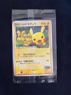 ポケパークのピカチュウ PROMO PCG-Pプロモカード 043/PCG-Ｐ