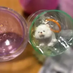 Item thumbnail for item 03ad4bd3-326b-473a-a5cf-d3c868261d96