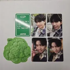 ボネクド　シーグリ　ジェヒョン