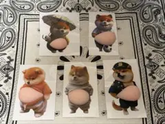 5枚 セット　柴犬 お腹ぷにぷにシール 3Dシール ステッカーシール帳