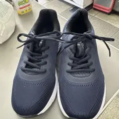 Item thumbnail for item 314f56c8-4fa8-4b2b-b95b-9eec8f41a5a2