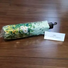 長傘 傘