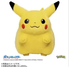 ポケモン 30周年記念 おかえり！ピカチュウ ぬいぐるみ