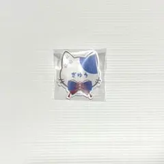 2025年最新】鬼滅の刃 ナンジャタウン 缶バッジ 冨岡義勇の人気