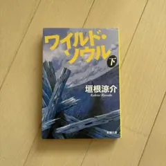 ワイルド・ソウル 下