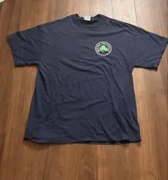 Hanes Beefy-T ネイビー Tシャツ 2002年チャンピオン