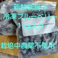 新鮮朝摘み 冷凍ブルーベリー 1kgのサムネイル