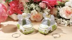 ディズニーモータース　トミカ　ジュエリーウェイ　ミッキー　ミニー　ボタニカル