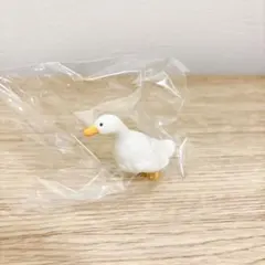虚無。 宙 アヒル