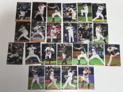 プロ野球チップス 選手カード