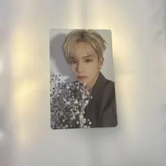 treasure トレジャー　アサヒ　あさひ　ASAHI 朝光　トレカ